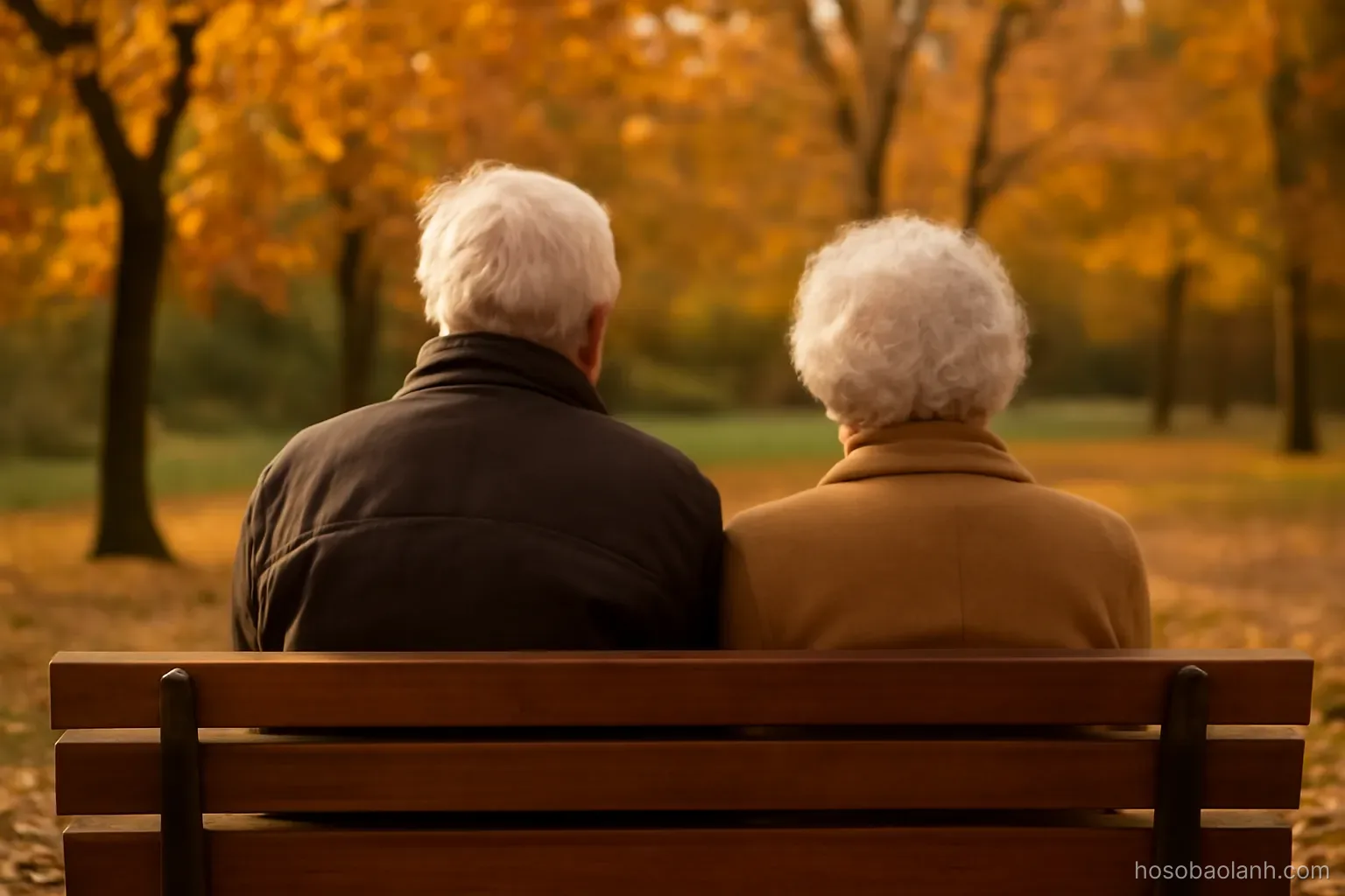 an elderly couple sitting on a park bench seen from behind, autumn trees around, no faces visible
