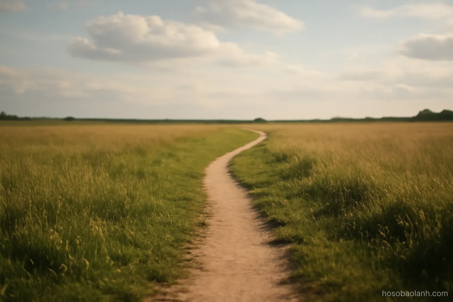 a narrow footpath winding through open fields under a wide sky, no signposts or buildings